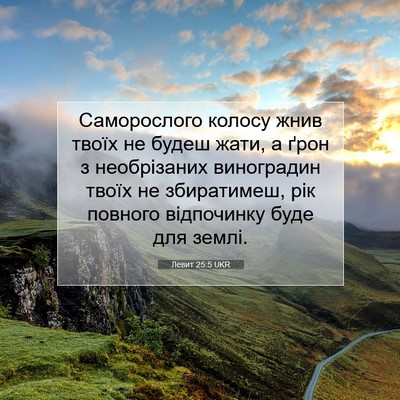 Picture 07 - Левит 25:5 UKR - Саморослого колосу жнив - Bible Verse Picture