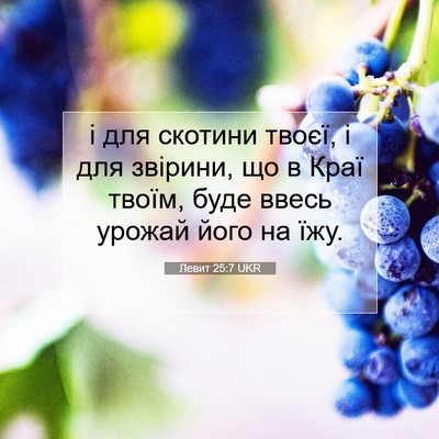 Picture 07 - Левит 25:7 UKR - і для скотини твоєї, і для - Bible Verse Picture