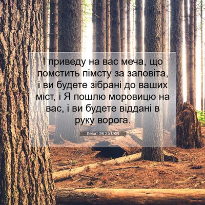 Picture 07 - Левит 26:25 UKR - І приведу на вас меча, що - Bible Verse Picture