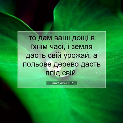 Picture 07 - Левит 26:4 UKR - то дам ваші дощі в їхнім - Bible Verse Picture