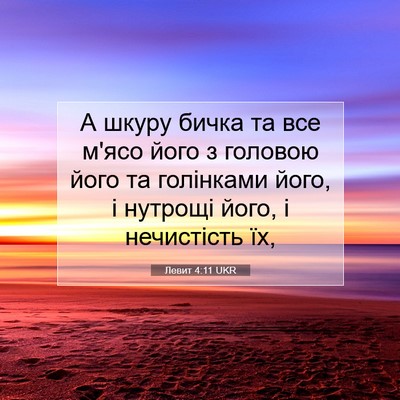Picture 07 - Левит 4:11 UKR - А шкуру бичка та все м'ясо - Bible Verse Picture
