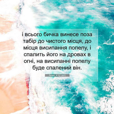 Picture 07 - Левит 4:12 UKR - і всього бичка винесе поза - Bible Verse Picture