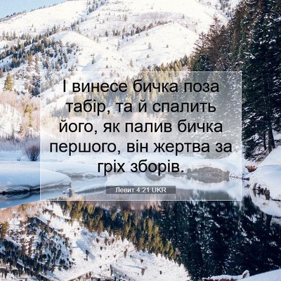 Picture 07 - Левит 4:21 UKR - І винесе бичка поза табір, - Bible Verse Picture