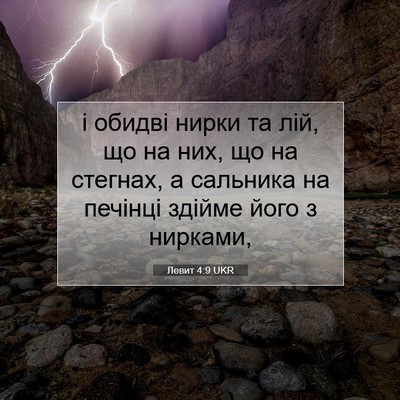 Picture 07 - Левит 4:9 UKR - і обидві нирки та лій, що на - Bible Verse Picture