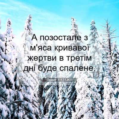 Picture 07 - Левит 7:17 UKR - А позостале з м'яса - Bible Verse Picture