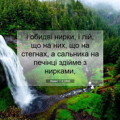 Picture 07 - Левит 7:4 UKR - і обидві нирки, і лій, що на - Bible Verse Picture