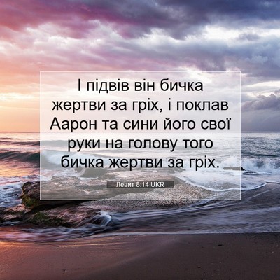 Picture 07 - Левит 8:14 UKR - І підвів він бичка жертви - Bible Verse Picture