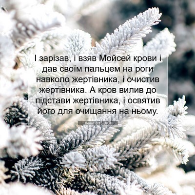Picture 07 - Левит 8:15 UKR - І зарізав, і взяв Мойсей - Bible Verse Picture