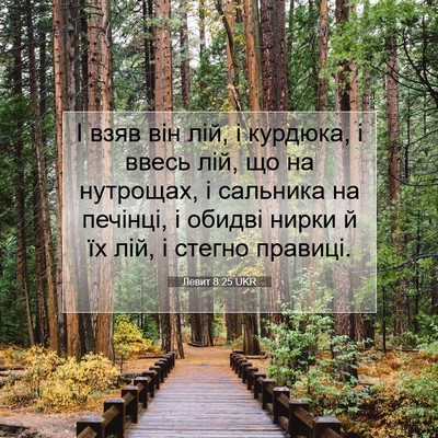 Picture 07 - Левит 8:25 UKR - І взяв він лій, і курдюка, і - Bible Verse Picture