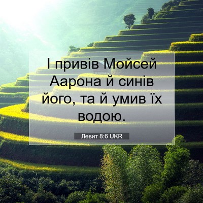 Picture 07 - Левит 8:6 UKR - І привів Мойсей Аарона й - Bible Verse Picture