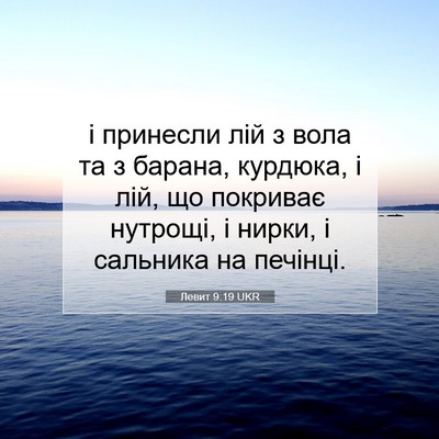 Picture 07 - Левит 9:19 UKR - і принесли лій з вола та з - Bible Verse Picture