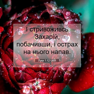Picture 07 - Луки 1:12 UKR - І стривоживсь Захарій, - Bible Verse Picture