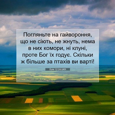 Picture 07 - Луки 12:24 UKR - Погляньте на гайвороння, - Bible Verse Picture