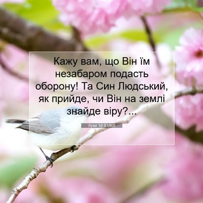 Picture 07 - Луки 18:8 UKR - Кажу вам, що Він їм - Bible Verse Picture