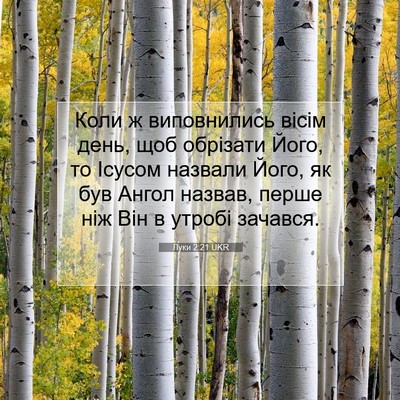 Picture 07 - Луки 2:21 UKR - Коли ж виповнились вісім - Bible Verse Picture