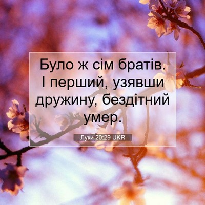 Picture 07 - Луки 20:29 UKR - Було ж сім братів. І перший, - Bible Verse Picture