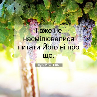 Picture 07 - Луки 20:40 UKR - І вже не насмілювалися - Bible Verse Picture