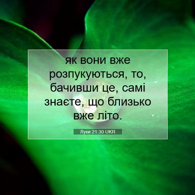 Picture 07 - Луки 21:30 UKR - як вони вже розпукуються, - Bible Verse Picture