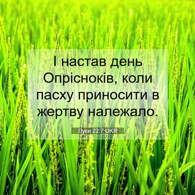 Picture 07 - Луки 22:7 UKR - І настав день Опрісноків, - Bible Verse Picture