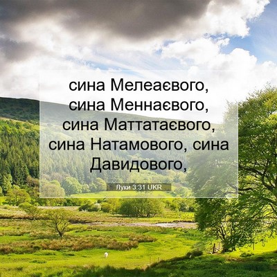 Picture 07 - Луки 3:31 UKR - сина Мелеаєвого, сина - Bible Verse Picture