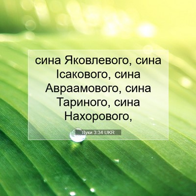 Picture 07 - Луки 3:34 UKR - сина Яковлевого, сина - Bible Verse Picture