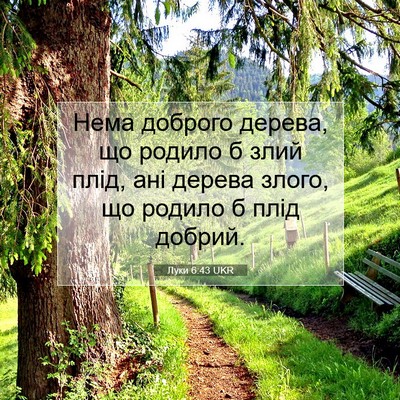 Picture 07 - Луки 6:43 UKR - Нема доброго дерева, що - Bible Verse Picture