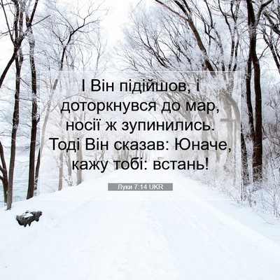 Picture 07 - Луки 7:14 UKR - І Він підійшов, і - Bible Verse Picture