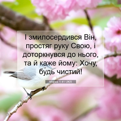 Picture 07 - Марка 1:41 UKR - І змилосердився Він, - Bible Verse Picture
