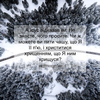 Picture 07 - Марка 10:38 UKR - А Ісус відказав їм: Не - Bible Verse Picture