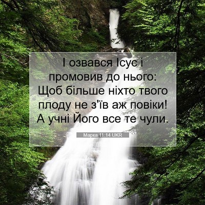 Picture 07 - Марка 11:14 UKR - І озвався Ісус і промовив - Bible Verse Picture