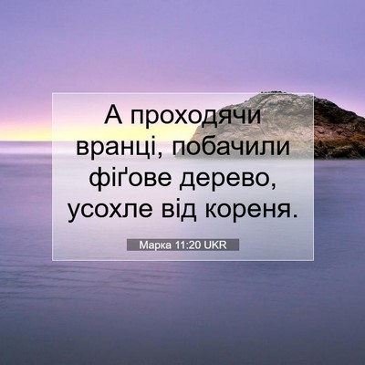 Picture 07 - Марка 11:20 UKR - А проходячи вранці, - Bible Verse Picture