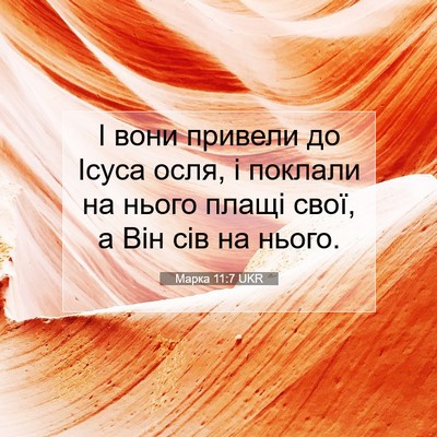 Picture 07 - Марка 11:7 UKR - І вони привели до Ісуса - Bible Verse Picture