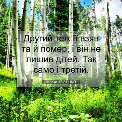 Picture 07 - Марка 12:21 UKR - Другий теж її взяв та й - Bible Verse Picture