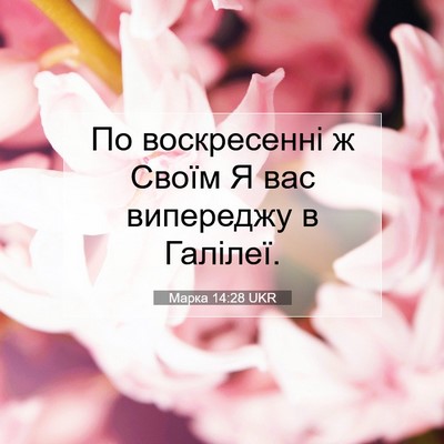 Picture 07 - Марка 14:28 UKR - По воскресенні ж Своїм Я - Bible Verse Picture