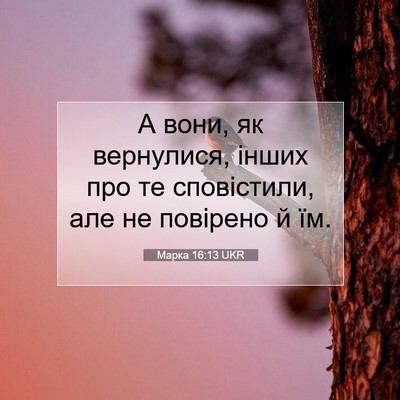 Picture 07 - Марка 16:13 UKR - А вони, як вернулися, інших - Bible Verse Picture