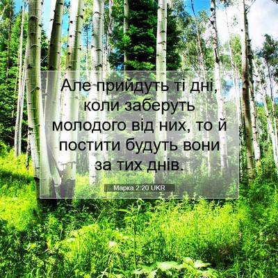 Picture 07 - Марка 2:20 UKR - Але прийдуть ті дні, коли - Bible Verse Picture