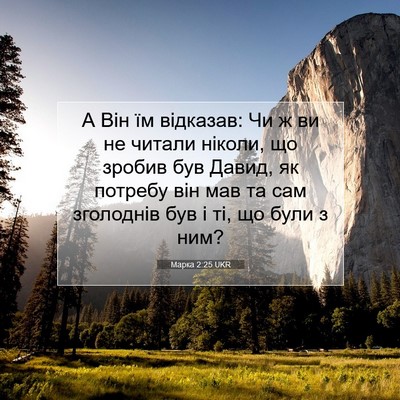 Picture 07 - Марка 2:25 UKR - А Він їм відказав: Чи ж ви - Bible Verse Picture
