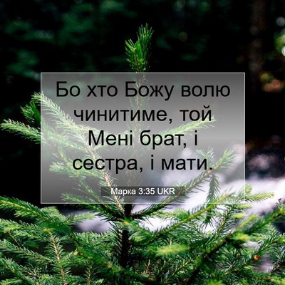 Picture 07 - Марка 3:35 UKR - Бо хто Божу волю чинитиме, - Bible Verse Picture