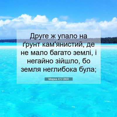 Picture 07 - Марка 4:5 UKR - Друге ж упало на ґрунт - Bible Verse Picture