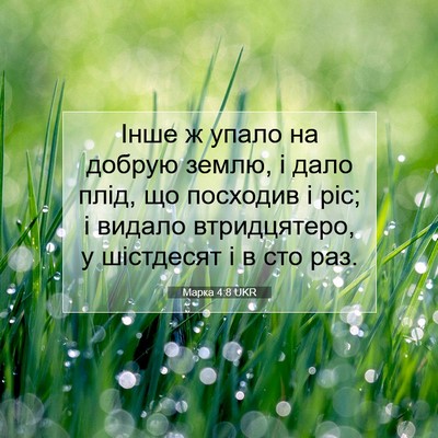 Picture 07 - Марка 4:8 UKR - Інше ж упало на добрую - Bible Verse Picture