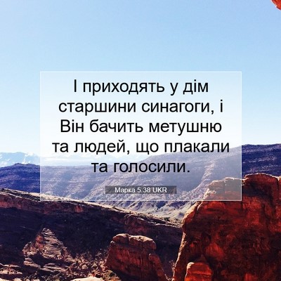 Picture 07 - Марка 5:38 UKR - І приходять у дім старшини - Bible Verse Picture