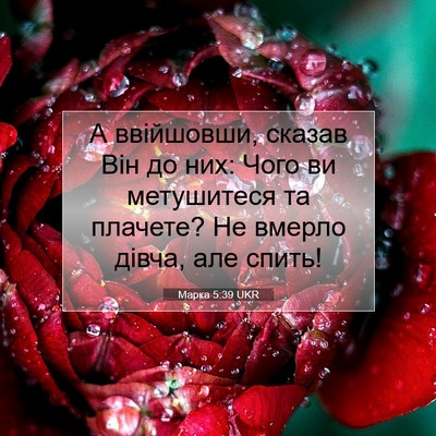 Picture 07 - Марка 5:39 UKR - А ввійшовши, сказав Він до - Bible Verse Picture