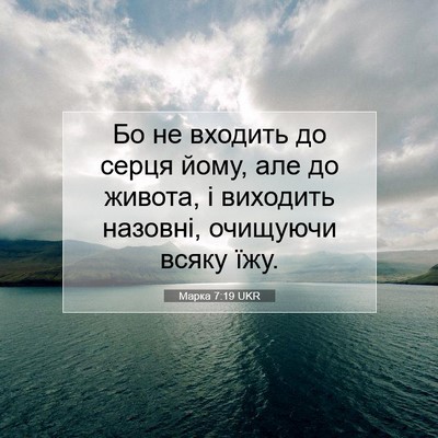 Picture 07 - Марка 7:19 UKR - Бо не входить до серця - Bible Verse Picture