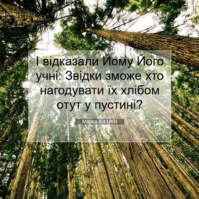 Picture 07 - Марка 8:4 UKR - І відказали Йому Його учні: - Bible Verse Picture