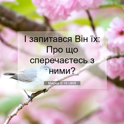 Picture 07 - Марка 9:16 UKR - І запитався Він їх: Про що - Bible Verse Picture