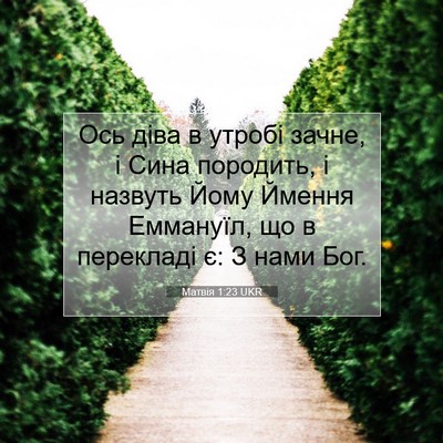 Picture 07 - Матвія 1:23 UKR - Ось діва в утробі зачне, і - Bible Verse Picture