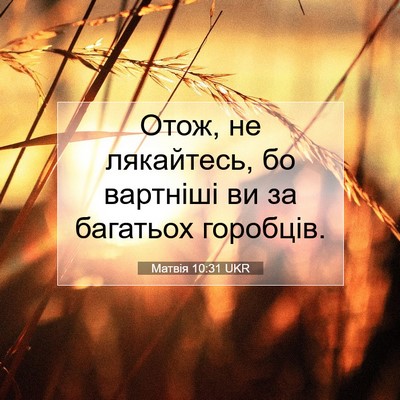 Picture 07 - Матвія 10:31 UKR - Отож, не лякайтесь, бо - Bible Verse Picture