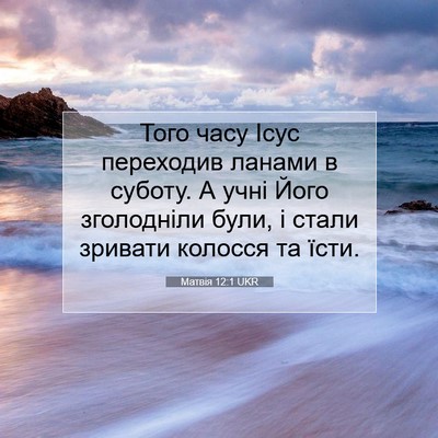 Picture 07 - Матвія 12:1 UKR - Того часу Ісус переходив - Bible Verse Picture
