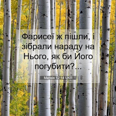 Picture 07 - Матвія 12:14 UKR - Фарисеї ж пішли, і зібрали - Bible Verse Picture