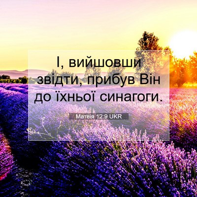 Picture 07 - Матвія 12:9 UKR - І, вийшовши звідти, прибув - Bible Verse Picture